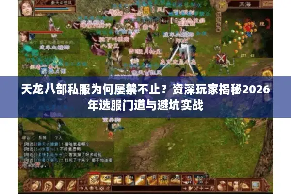 天龙八部私服为何屡禁不止？资深玩家揭秘2026年选服门道与避坑实战