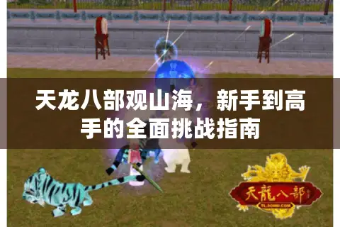 天龙八部观山海，新手到高手的全面挑战指南