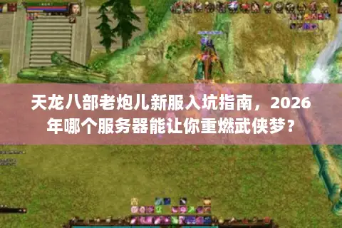 天龙八部老炮儿新服入坑指南，2026年哪个服务器能让你重燃武侠梦？