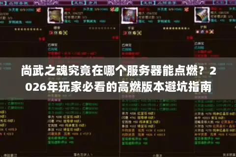尚武之魂究竟在哪个服务器能点燃？2026年玩家必看的高燃版本避坑指南