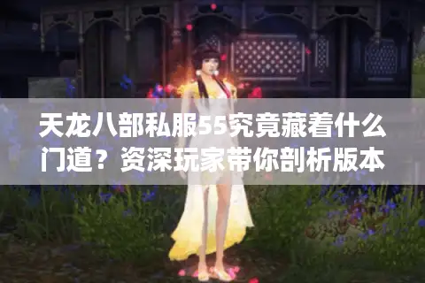 天龙八部私服55究竟藏着什么门道？资深玩家带你剖析版本玄机与避坑指南