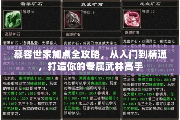 慕容世家加点全攻略，从入门到精通，打造你的专属武林高手