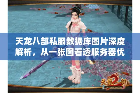 天龙八部私服数据库图片深度解析，从一张图看透服务器优劣与资源门道