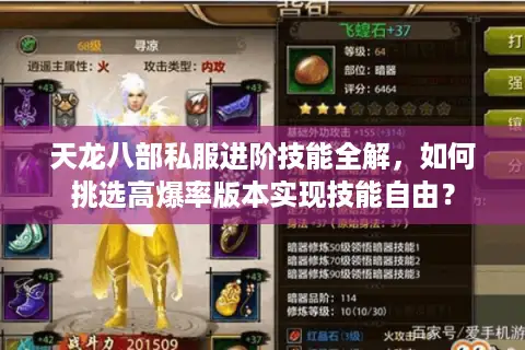 天龙八部私服进阶技能全解，如何挑选高爆率版本实现技能自由？