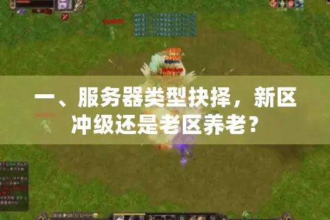 一、服务器类型抉择，新区冲级还是老区养老？