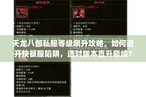 天龙八部私服等级飙升攻略，如何避开快餐服陷阱，选对版本直升巅峰？
