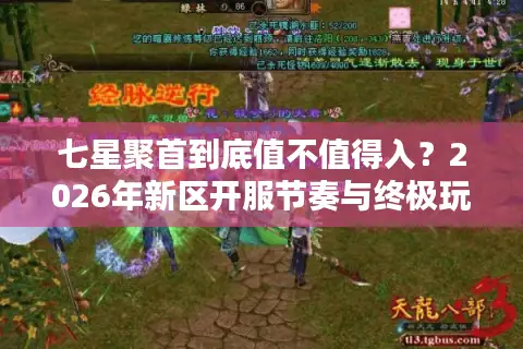 七星聚首到底值不值得入？2026年新区开服节奏与终极玩法门道揭秘