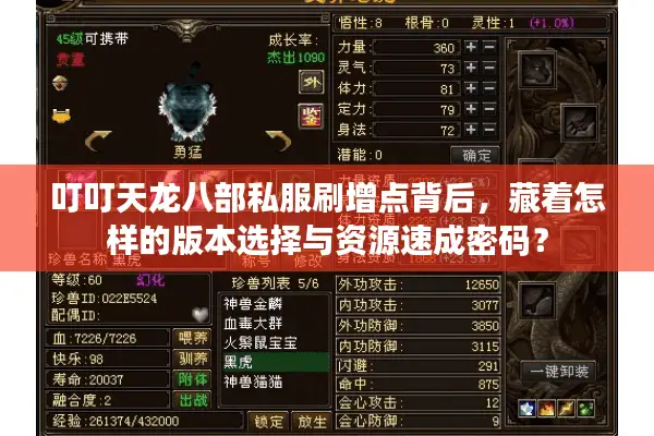 叮叮天龙八部私服刷增点背后，藏着怎样的版本选择与资源速成密码？