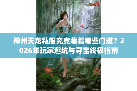 神州天龙私服究竟藏着哪些门道？2026年玩家避坑与寻宝终极指南