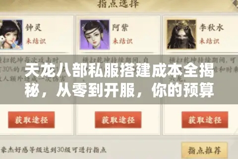 天龙八部私服搭建成本全揭秘，从零到开服，你的预算真的够吗？