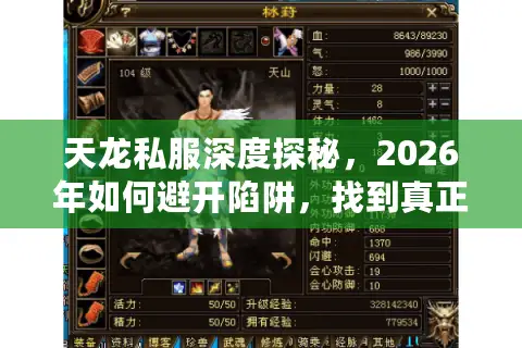 天龙私服深度探秘，2026年如何避开陷阱，找到真正耐玩的天龙八部私服？