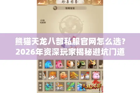 熊猫天龙八部私服官网怎么选？2026年资深玩家揭秘避坑门道