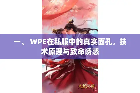 一、 WPE在私服中的真实面孔，技术原理与致命诱惑