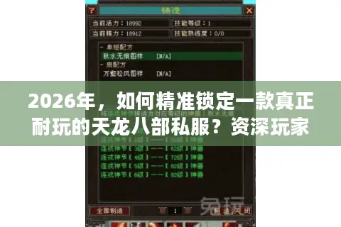 2026年，如何精准锁定一款真正耐玩的天龙八部私服？资深玩家的择服指南