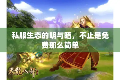 私服生态的明与暗，不止是免费那么简单