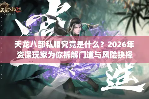 天龙八部私服究竟是什么？2026年资深玩家为你拆解门道与风险抉择