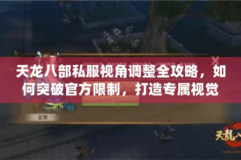 天龙八部私服视角调整全攻略，如何突破官方限制，打造专属视觉盛宴？