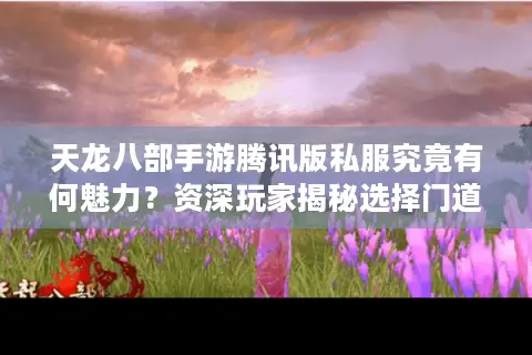 天龙八部手游腾讯版私服究竟有何魅力？资深玩家揭秘选择门道与风险规避
