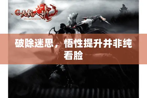 破除迷思，悟性提升并非纯看脸