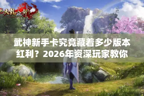 武神新手卡究竟藏着多少版本红利？2026年资深玩家教你精准选择不踩坑