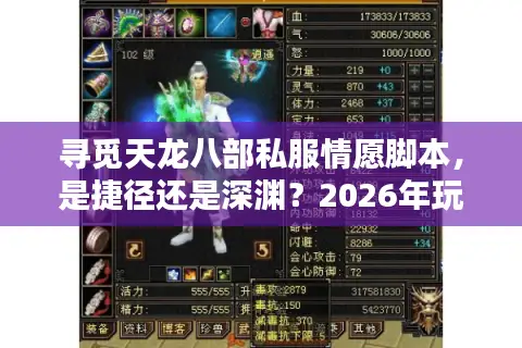 寻觅天龙八部私服情愿脚本，是捷径还是深渊？2026年玩家避坑指南