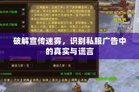 破解宣传迷雾，识别私服广告中的真实与谎言