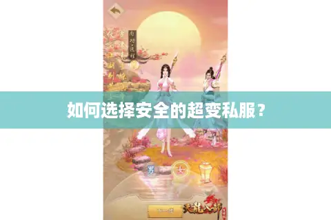 如何选择安全的超变私服？