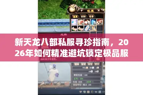 新天龙八部私服寻珍指南，2026年如何精准避坑锁定极品服？