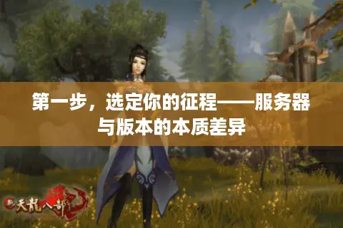 第一步，选定你的征程——服务器与版本的本质差异