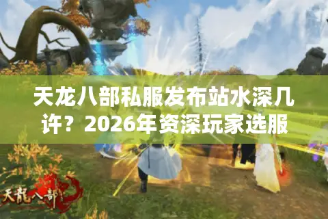 天龙八部私服发布站水深几许？2026年资深玩家选服避坑终极指南