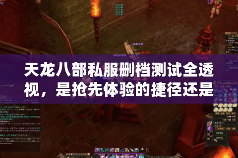 天龙八部私服删档测试全透视，是抢先体验的捷径还是徒劳一场？