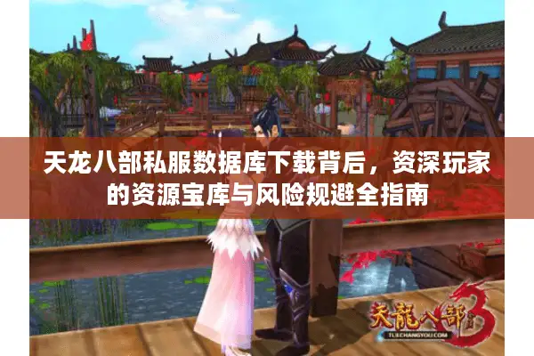 天龙八部私服数据库下载背后，资深玩家的资源宝库与风险规避全指南