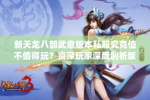 新天龙八部武意版本私服究竟值不值得玩？资深玩家深度剖析版本陷阱与机遇
