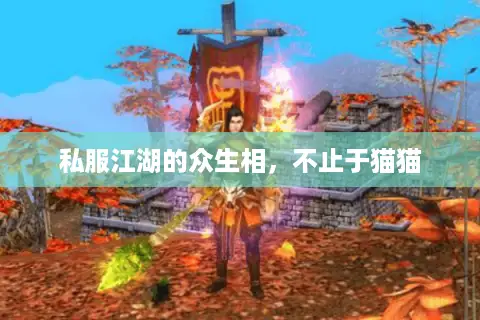 私服江湖的众生相，不止于猫猫