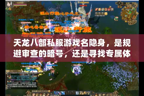 天龙八部私服游戏名隐身，是规避审查的暗号，还是寻找专属体验的密钥？