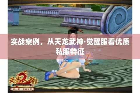 实战案例，从天龙武神·觉醒服看优质私服特征