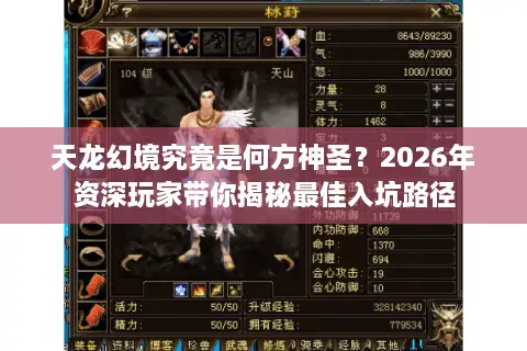 天龙幻境究竟是何方神圣？2026年资深玩家带你揭秘最佳入坑路径