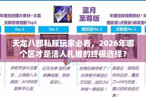 天龙八部私服玩家必看，2026年哪个区才是活人扎堆的终极选择？