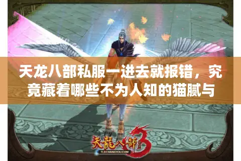 天龙八部私服一进去就报错，究竟藏着哪些不为人知的猫腻与破解之道？