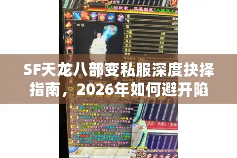 SF天龙八部变私服深度抉择指南，2026年如何避开陷阱选对高仿官服？