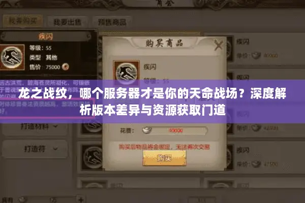 龙之战纹，哪个服务器才是你的天命战场？深度解析版本差异与资源获取门道