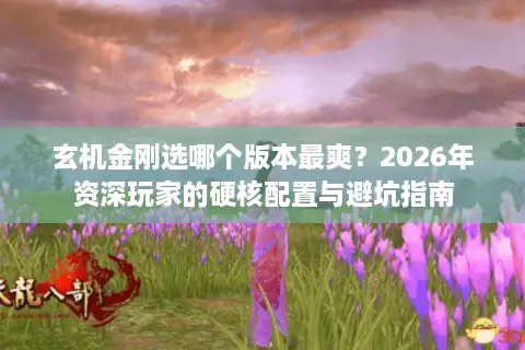 玄机金刚选哪个版本最爽？2026年资深玩家的硬核配置与避坑指南