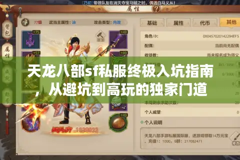 天龙八部sf私服终极入坑指南，从避坑到高玩的独家门道