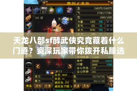 天龙八部sf醉武侠究竟藏着什么门道？资深玩家带你拨开私服选择的迷雾
