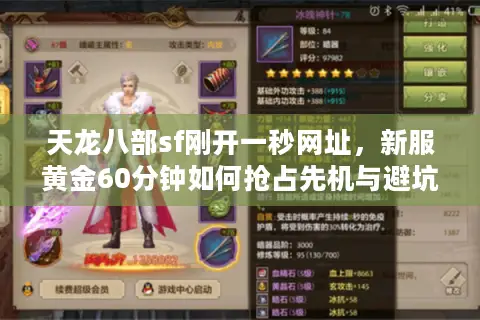 天龙八部sf刚开一秒网址，新服黄金60分钟如何抢占先机与避坑全攻略？