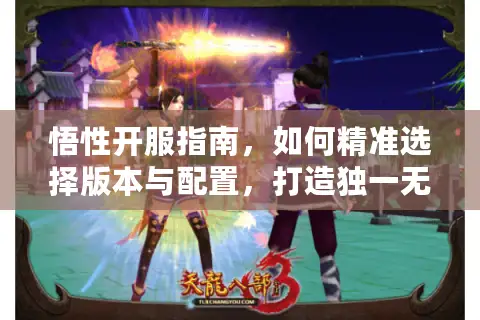 悟性开服指南，如何精准选择版本与配置，打造独一无二的游戏世界？