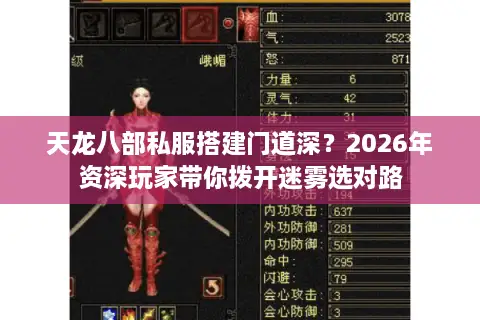 天龙八部私服搭建门道深？2026年资深玩家带你拨开迷雾选对路