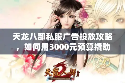 天龙八部私服广告投放攻略，如何用3000元预算撬动5000+精准玩家？