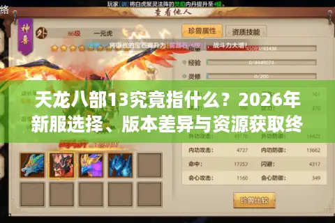 天龙八部13究竟指什么？2026年新服选择、版本差异与资源获取终极指南