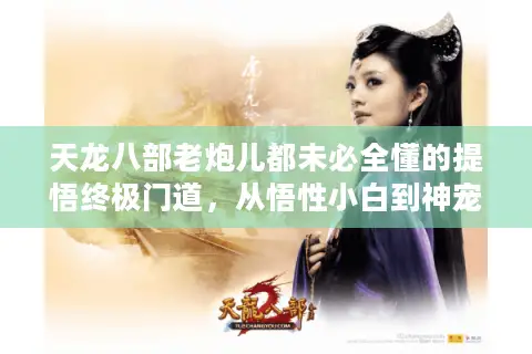 天龙八部老炮儿都未必全懂的提悟终极门道，从悟性小白到神宠大师的速成指南